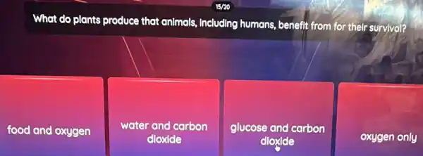 What do plants produce that animals, Including humans, benefit from for their survival?
food and oxygen
water and carbon
dloxide
glucose and carbon
dioxide
oxygen only