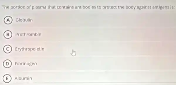 The portion of plasma that contains antibodies to protect the body against antigens is:
A Globulin
B Prothrombin
C Erythropoietin
D Fibrinogen
E Albumin