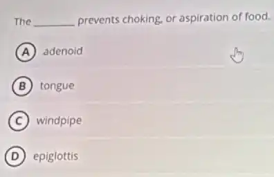 The __ prevents choking, or aspiration of food.
A adenoid
B tongue
C windpipe
D epiglottis