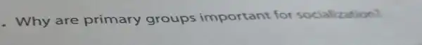 Why are primary groups important for socialization?