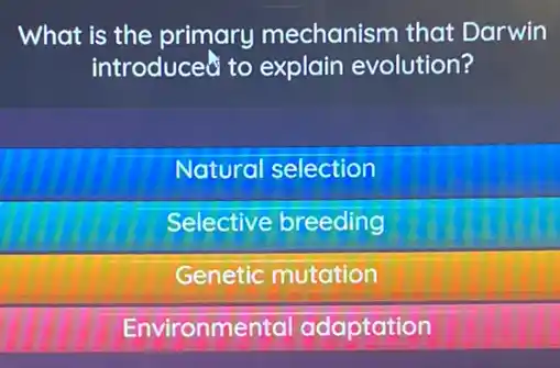 What is the primary mechanism that Darwin
introduced to explain evolution?
Natural selection
Selective breeding
Genetic mutation
Environmenta adaptation