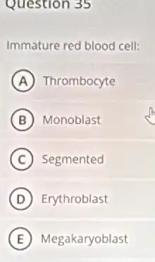 Question 35
Immature red blood cell:
A Thrombocyte
B Monoblast
C Segmented
D Erythroblast
E Megakaryoblast