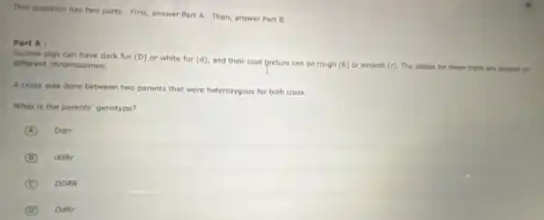 This question has two parts. First, answer Part A. Then, answer Part B.
Part A :
Guinea pigs can have dark fur (D) or white fur (d), and their coat texture can be rough (R) or smooth
(r). The alleles for these traits are located on different chromosomes.
A cross was done between two parents that were heterozygous for both traits.
What is the parents'genotype?
A Ddrr
B ddRr
C DDRR
D DdRr