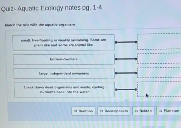 Quiz- Aquatic Ecology notes pg. 1-4
Match the role with the aquatic organism
small, free-floating or weakly swimming. Some are plant like and some are animal like
bottom-dwellers
large, independent swimmers
break down dead organisms and waste, cycling nutrients back into the water