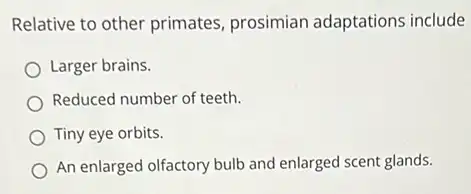 Relative to other primates prosimian adaptations include
Larger brains.
Reduced number of teeth.
Tiny eye orbits.
An enlarged olfactory bulb and enlarged scent glands.