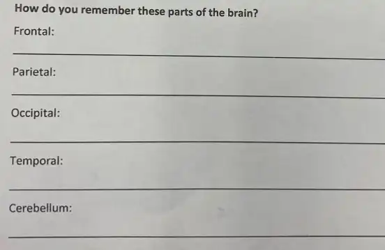 How do you remember these parts of the brain?
Frontal:
Parietal:
Occipital:
Temporal:
Cerebellum: