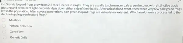 Rio Grande leopard frogs growfrom 2.2 to 4.5 inches in length. They are usually tan, brown, or pale green in color with distinctive black
spotting and prominent light -colored ridges down either side of their backs. After a flash flood event, there were very few pale green frogs
left in the population. After several generations, pale green leopard frogs are virtually nonexistent. Which evolutionary process led to the
decline in pale green leopard frogs?
Muations
Natural Selection
Gene Flow
Genetic Drift