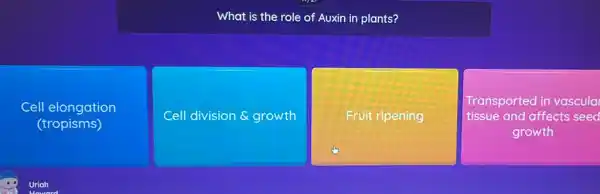 What is the role of Auxin in plants?
Cell elongation
(tropisms)
Cell division growth
square 
tissue and affects seed
square 
Transported in vascula