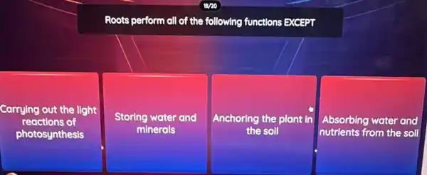 Roots perform all of the following functions EXCEPT
Carrying out the light
reactions of
photosynthesis
Storing water and
minerals
Anchoring the plant in
the soll
Absorbing water and
nutrients from the soil