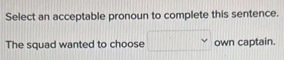 Select an acceptable pronoun to complete this sentence.
The squad wanted to choose square  own captain.