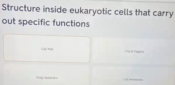 Structure inside eukaryotic cells that carry
out specific functions
Cell Wall
Cilia & Flagella
Golgi Apparatus
Cell Membrane