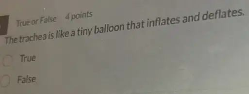 True or False 4 points
The trachea is like a tiny balloon that inflates and deflates.
True
False