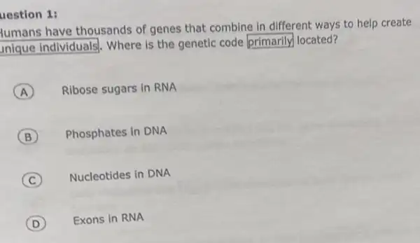 uestion 1:
tumans have thousands of genes that combine in different ways to help create
unique individuals, Where is the genetic code square  located?
A Ribose sugars in RNA
B Phosphates in DNA
C Nucleotides in DNA
D ) Exons in RNA