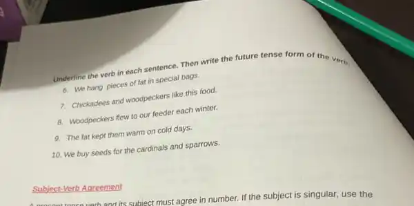 Underline the verb in each sentence. Then write the future tense form of the vert.
6. We hang pieces of fat in special bags.
7. Chickadees and woodpeckers like this food.
8. Woodpeckers flew to our feeder each winter.
9. The fat kept them warm on cold days.
10. We buy seeds for the cardinals and sparrows.
ubject must agree in number. If the subject is singular, use the