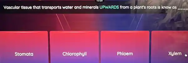 Vascular tissue that transports water and minerals UPWARDS from o plant's roots is know as __
Stomata
Chlorophyll
Phloem
Xylem