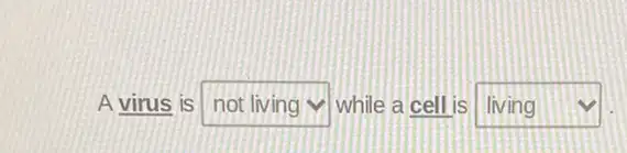 A virus is square  while a cell is square