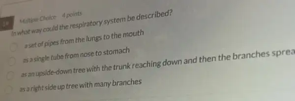 In what way could the respiratory system be described?
a set of pipes from the lungs to the mouth
as a single tube from nose to stomach
as an upside-down tree with the trunk reaching down and then the branches sprea
as a right side up tree with many branches
Multiple Choice 4 points