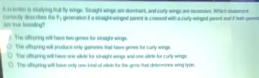 My wings. Straight wings are dominart, and curly wings are recessive. Which statement
overrightarrow (F)_(1) generation I a straightwinged parents is crossed with a curly-winged parent and If both parent
are true breading?
The offoping will have two genes for straight wings.
The offspring will produce only gametes that have genes for curly wings.
The offopring will have one allele for straight wings and one allele for curly wings.
The offoping will have only one kind of allele for the gene that determines wing type.