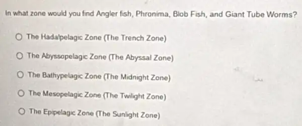 In what zone would you find Angler fish Phronima, Blob Fish, and Giant Tube Worms?
The Hadalpelagic Zone (The Trench Zone)
The Abyssopelagic Zone (The Abyssal Zone)
The Bathypelagic Zone (The Midnight Zone)
The Mesopelagic Zone (The Twilight Zone)
The Epipelagic Zone (The Sunlight Zone)