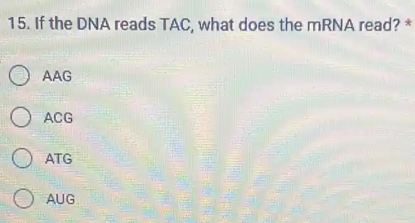 15. If the DNA reads TAC, what does the mRNA read?
AAG
ACG
ATG
AUG