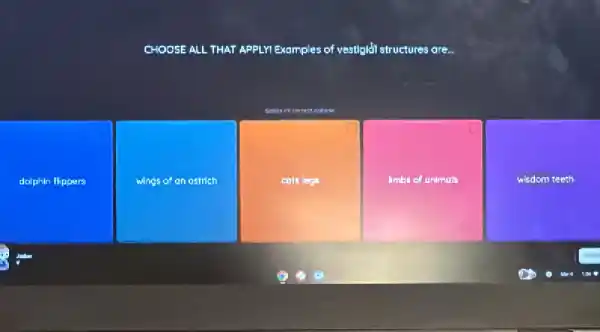 CHOOSE ALL THAT APPLH Examples of vestigión structures are...
dolphin flippers
wings of an ostrich
cots legs
limbs of unimals
wisdom teeth