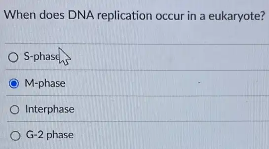 When does DNA replication occur in a eukaryote?
S-phase
M-phase
Interphase
G-2 phase