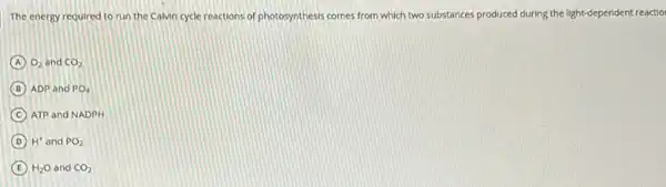 The energy required to run the Calvin cycle reactions of photosynthesis comes from which two substances produced during the light dependent reactio
A O_(2) and CO_(2)
B ADP and PO_(4)
C ATP and NADPH
D H^+ and PO_(2)
E H_(2)O and CO_(2)