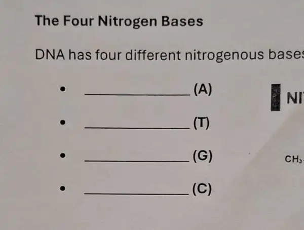 The Four Nitrogen Bases
DNA has four different nitrogenous base
__ (A)
NI
__ (T)
__ (G)
CH_(3)
__ (C)