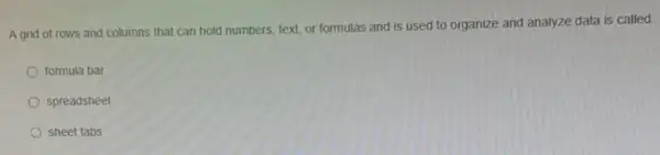 A grid of rows and columns that can hold numbers, text, or formulas and is used to organize and analyze data is called:
formula bar
spreadsheet
sheet tabs