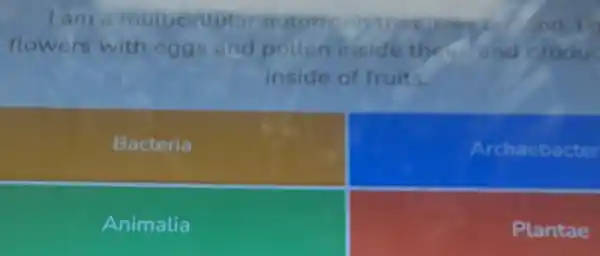 I am mutuccuota autotre
flowers with eggs and pollen inside the and o roduc
inside of fruits.
Bacteria
Archaebacter
Animalia
Plantae