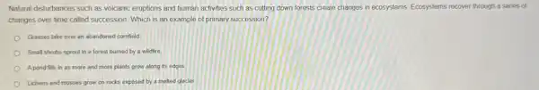 Natural disturbances such as volcanic eruptions and human activities such as cutting down forests create changes in ecosystems. Ecosystems recover through a series of
changes over time called succession. Which is an example of primary succession?
Grasses take over an abandoned cornfield.
Small shrubs sprout in a forest burned by a wildfire
A pond fills in as more and more plants grow along its edges
Lichens and mosses grow on rocks exposed by a melted glacier
