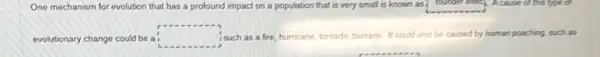 One mechanism for evolution that has a profound impact on a population that is very small is known as? Jounder enecy. A cause of this type of
evolutionary change could be ai
square  isuch as a fire hurricane, tomado, tsunami. It could also be caused d by human poaching, such as