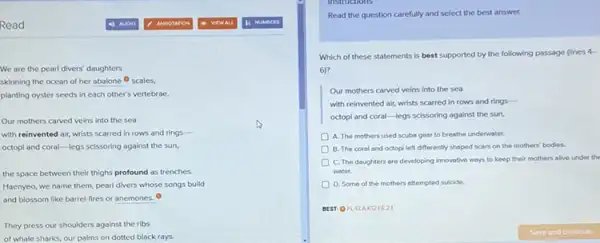 We are the pearl divers' daughters
skinning the ocean of her abalone 9 scales,
planting oyster seeds in each other's vertebrae.
Our mothers carved veins into the sea
with reinvented air, wrists scarred in rows and rings-
octopl and coral-legs scissoring against the sun,
the space between their thighs profound as trenches.
Haenyeo, we name them pearl divers whose songs build
and blossom like barrel-fires or anemones, 0
They press our shoulders agalnst the ribs
of whale sharks, our palms on dotted black rays.
Read the question carefully and select the best answer.
Which of these statements is best supported by the following passage (lines
4
6)?
Our mothers carved veins into the sea
with reinvented air, wrists scarred in rows and rings.
octopl and coral-legs scissoring against the sun,
A. The mothers used scuba gear to breathe underwater.
B. The coral and octopi left differently shaped scars on the mothers'bodies.
C. The daughters are developing innovative ways to keep their mothers alive under the
water.
D. Some of the mothers attempted suicide.