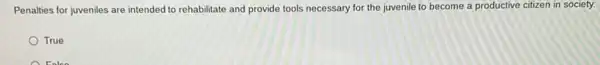 Penalties for juveniles are intended to rehabilitate and provide tools necessary for the juvenile to become a productive citizen in society.
True