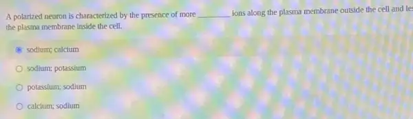 A polarized neuron is characterized by the presence of more __ ions along the plasma membrane outside the cell and le
the plasma membrane inside the cell.
C sodium; calcium
sodium; potassium
potassium; sodium
calcium; sodium