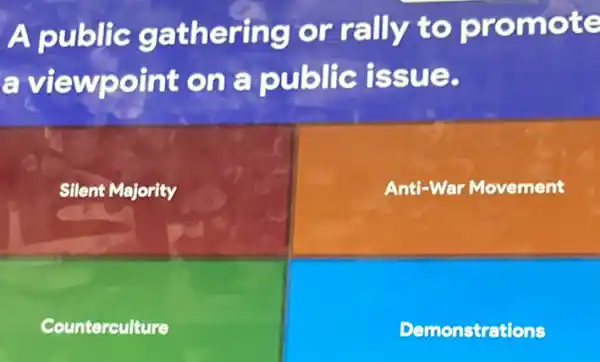 A public gathering or rally to promote
a viewpoint on a public issue.
Silent Majority
Anti-War Movement
Counterculture
Demonstrations