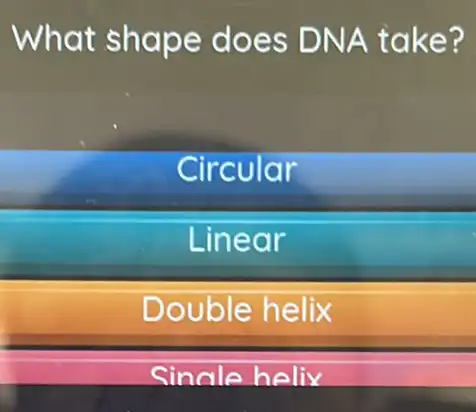 What shape does DNA take?
Circular
Linear
Double helix
Sinale helix